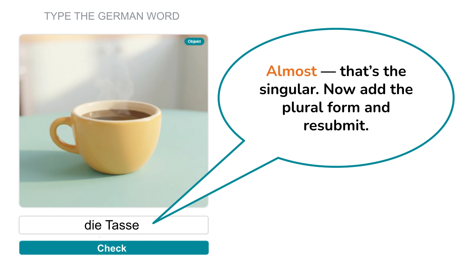 Missing-plural feedback: the student typed the singular and is asked to add the plural form and resubmit.